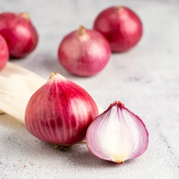 Fresh Onion